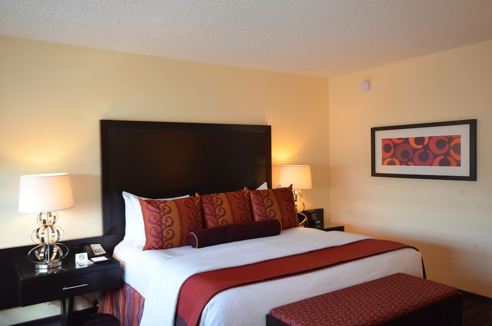 Suite, 1 Bedroom, 1 King Bed - Photo 1