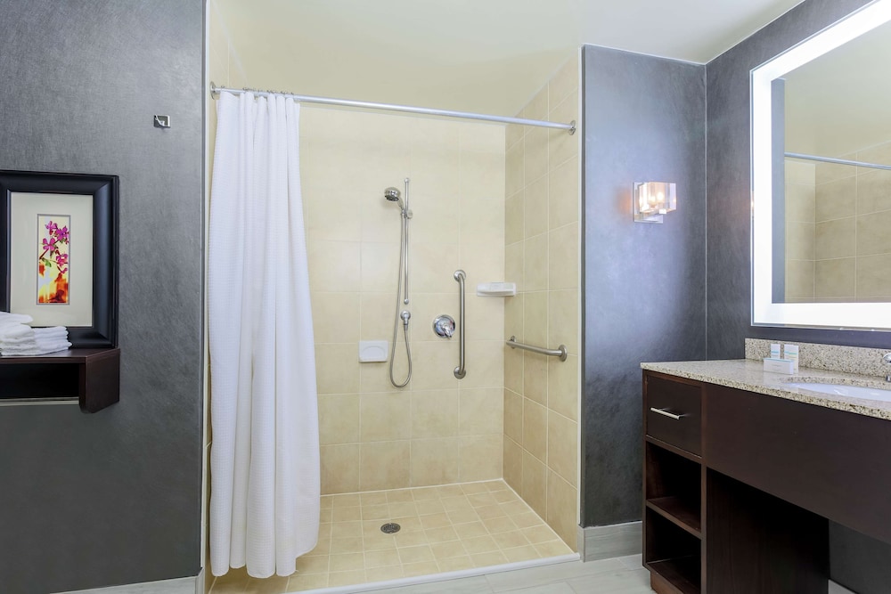 Suite, 1 King Bed, Accessible, Non Smoking (Mobility & Hearing, Roll-in Shower) - Photo 6