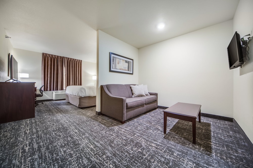 Studio Suite, 1 King Bed with Sofa bed, Accessible, Non Smoking (Audible/Visual) - Photo 8