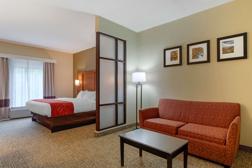 Suite, 1 King Bed with Sofa bed, Accessible, Non Smoking - Photo 2