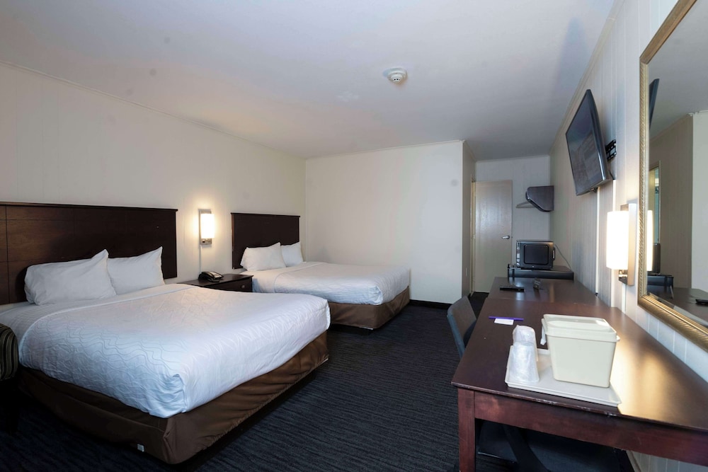 Room, 2 Double Beds