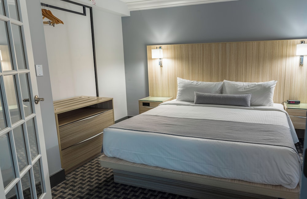 Premium Suite - Photo 12