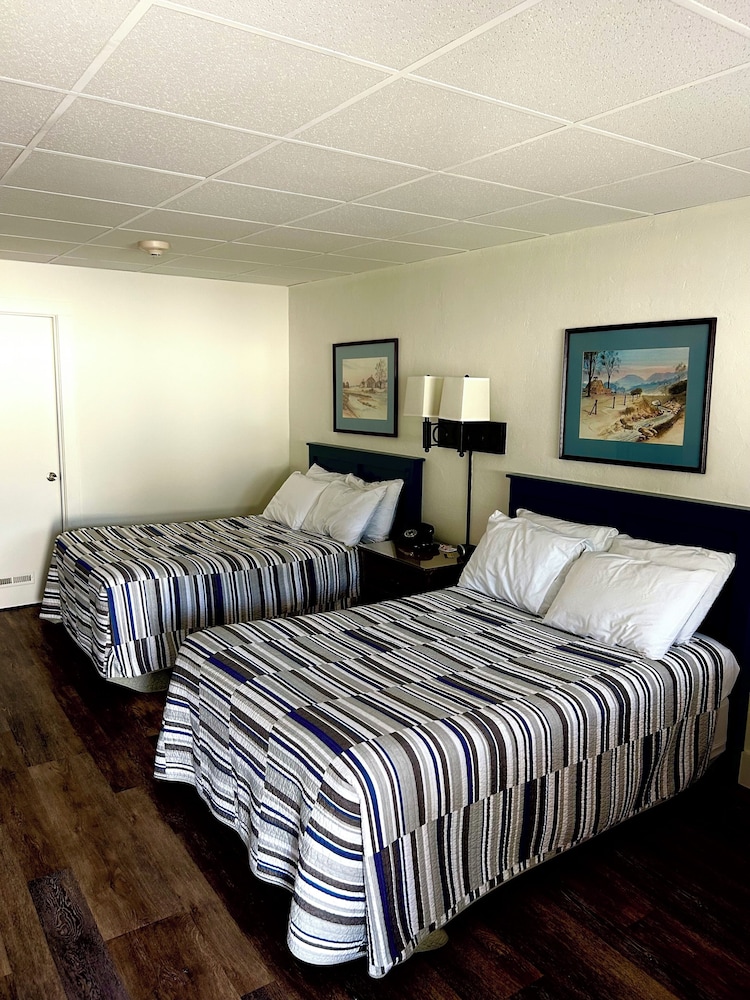 Pet Friendly Room photo 1
