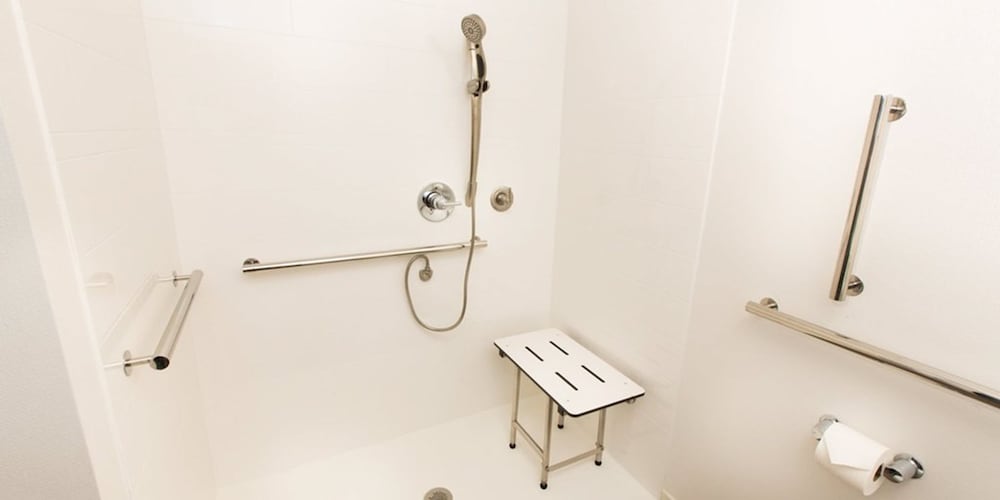 Room, Accessible (Roll-in Shower) - Photo 3