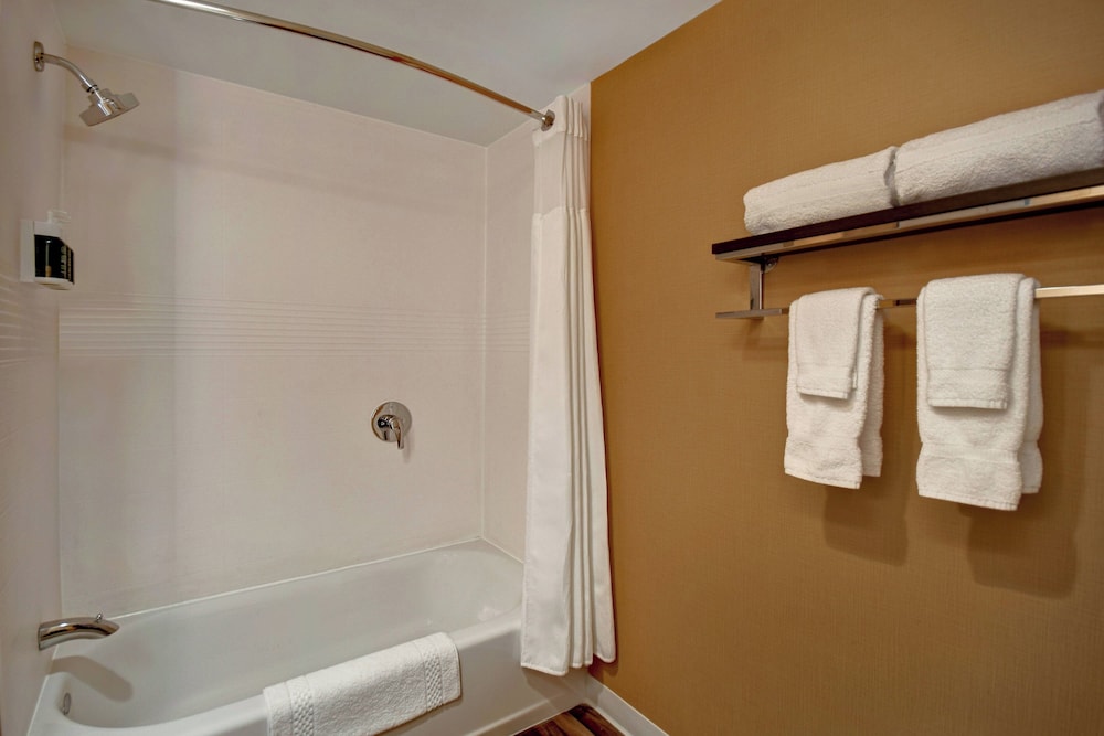 Suite, 1 Bedroom - Photo 6