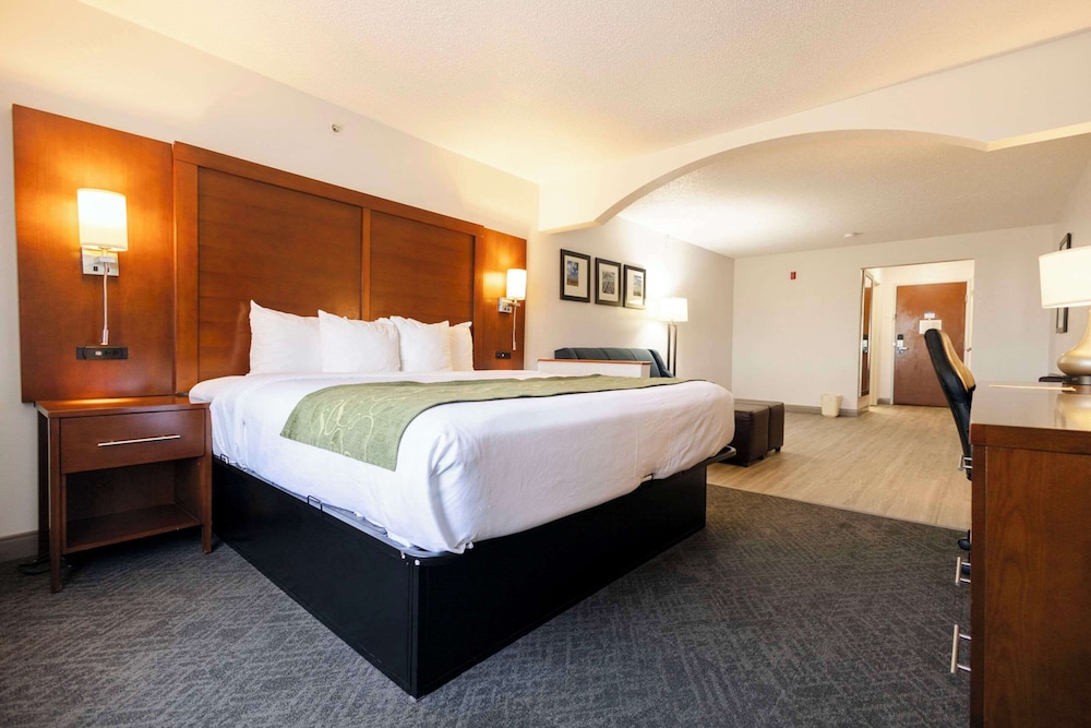 Suite, 1 King Bed, Non Smoking - Photo 9