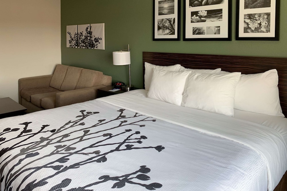 Suite, 1 King Bed with Sofa bed, Non Smoking photo 2