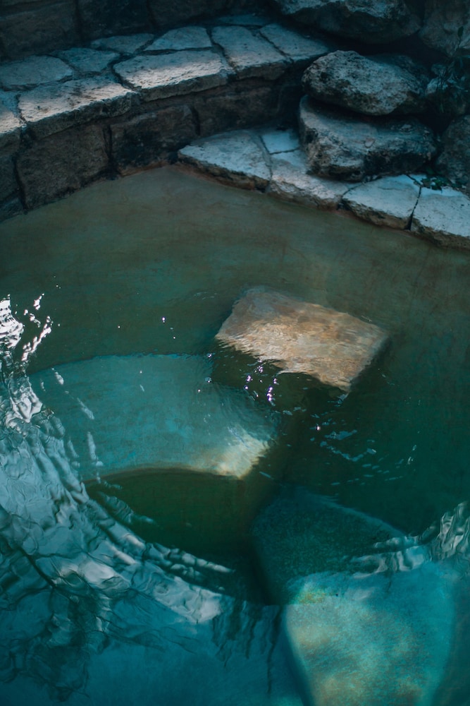 Plunge Pool Mayan Suite - Photo 14
