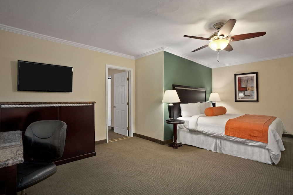 Suite - Photo 1