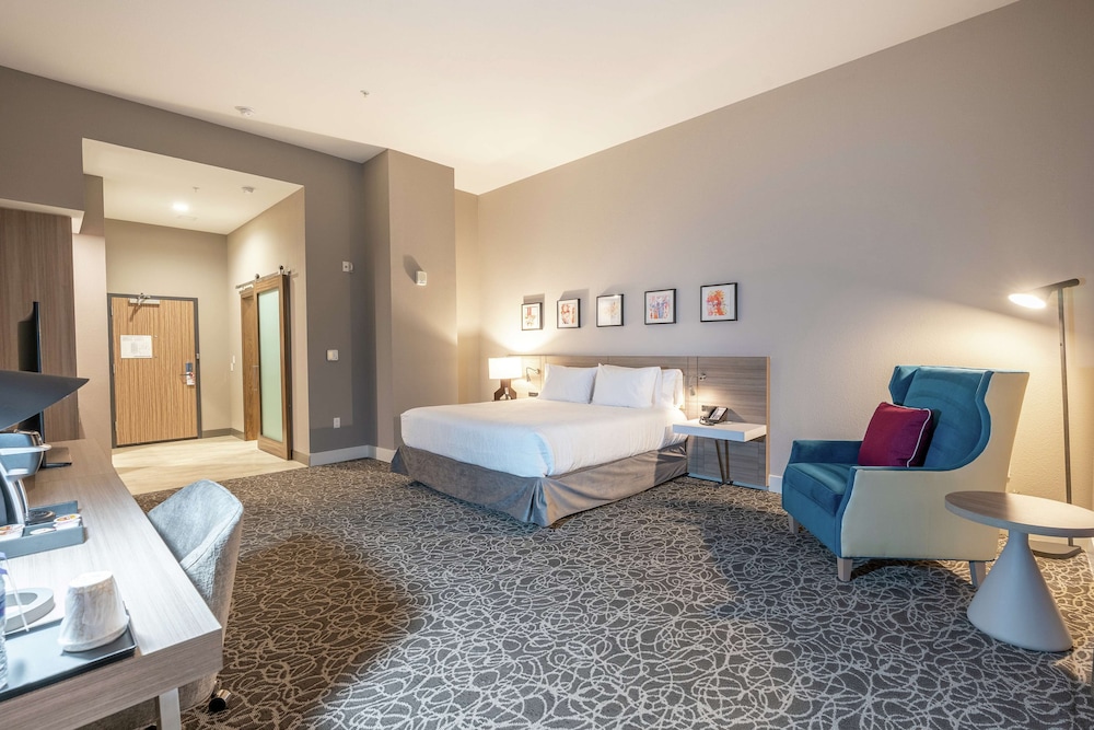 Room, 1 King Bed, Accessible (Roll-In Shower) - Photo 2