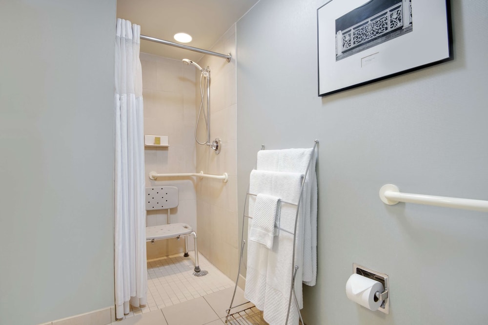 Room, 1 King Bed, Accessible, Allergy Friendly (Mobility & Hearing, Roll-in Shower) - Photo 4