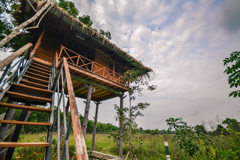 Vista Treehouse
