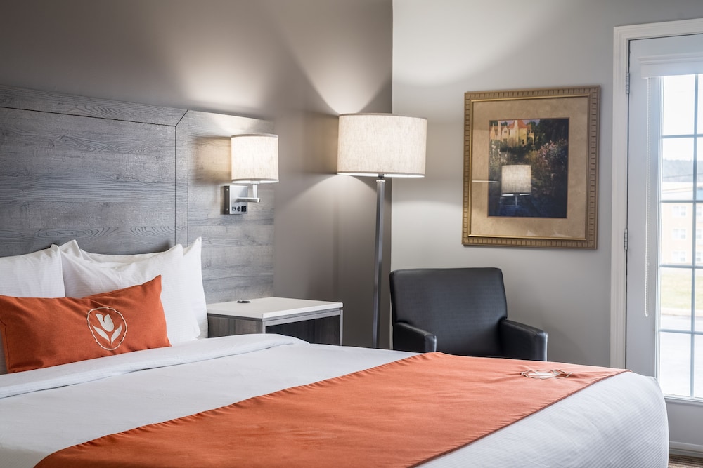 Room, 2 Queen Beds (Pet)