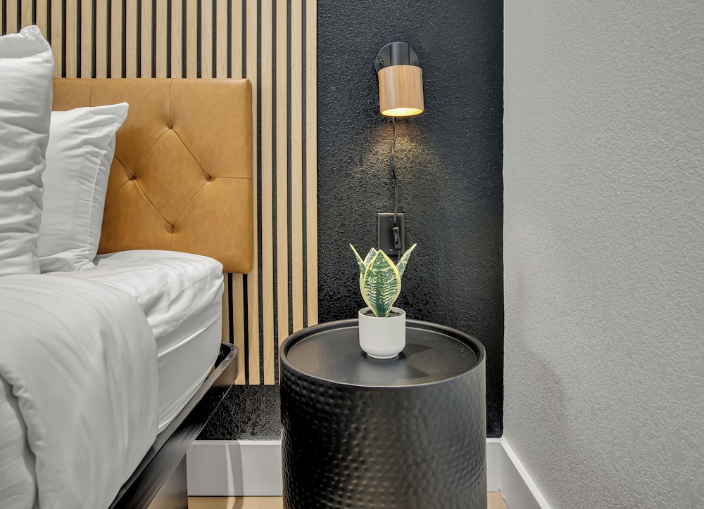 Deluxe Single Room - Photo 3