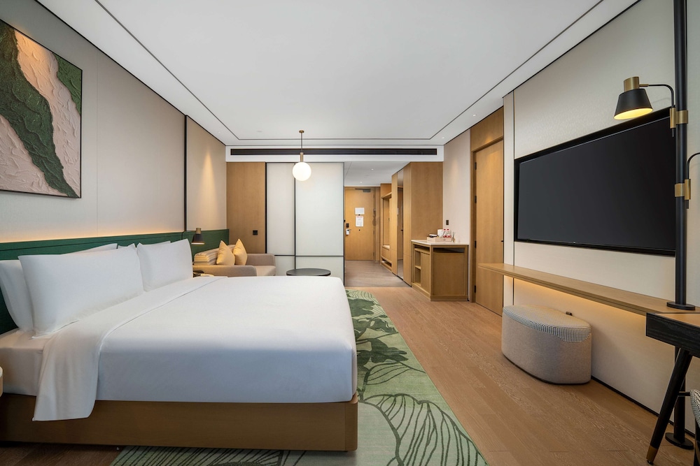 Deluxe Suite, 1 King Bed photo 1