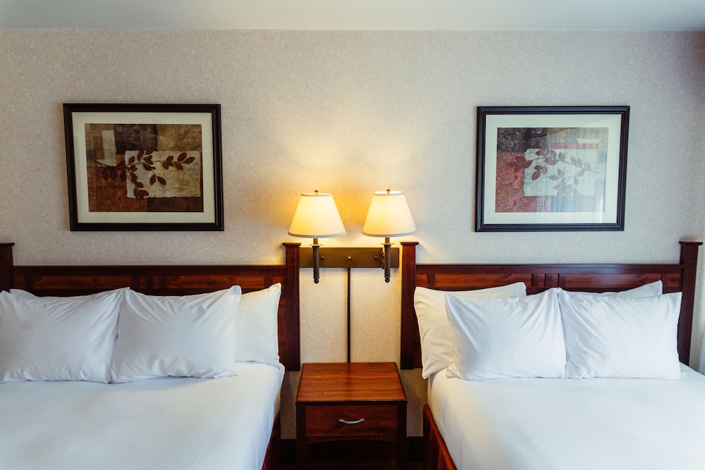 Standard Double Room, 2 Double Beds photo 3