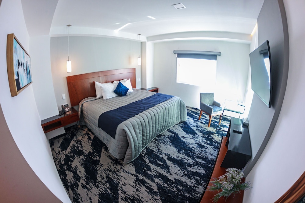 Comfort Single Room