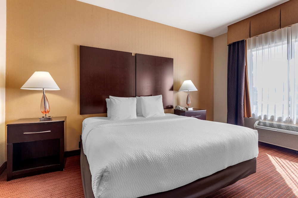 Suite, 1 King Bed, Accessible, Non Smoking (with Sofabed) - Photo 2