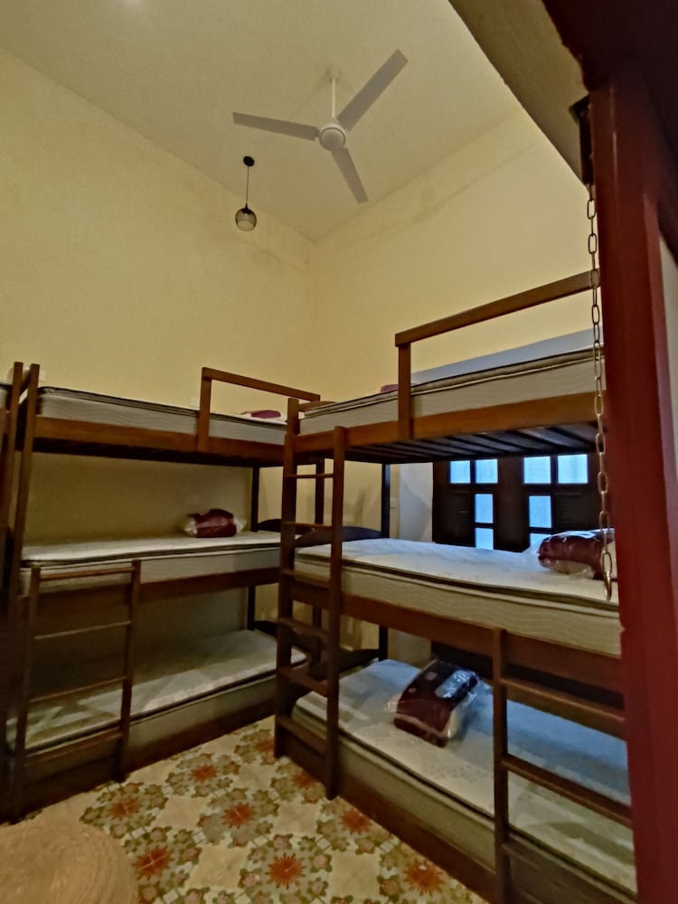 Standard Shared Dormitory photo 2