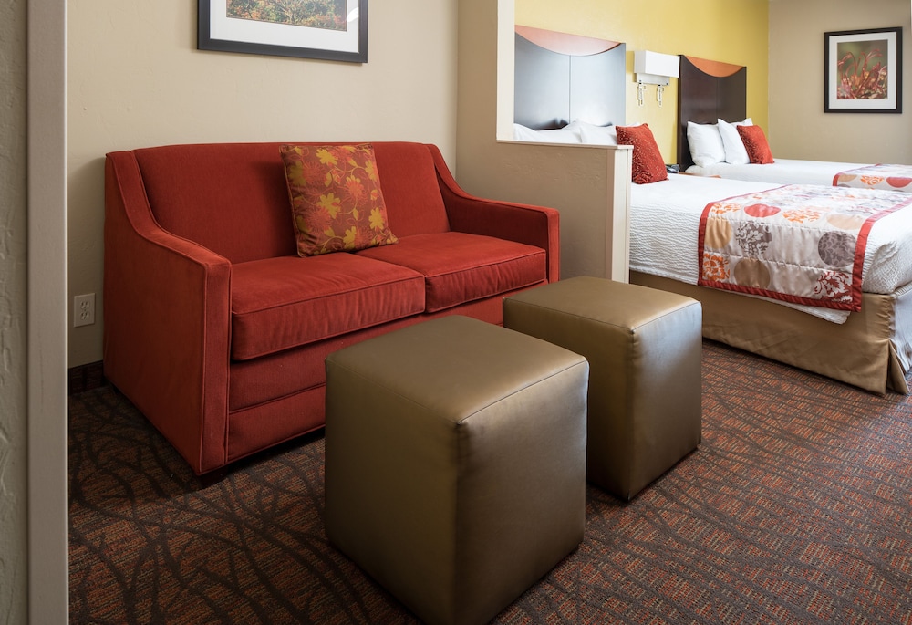 Room, Multiple Beds