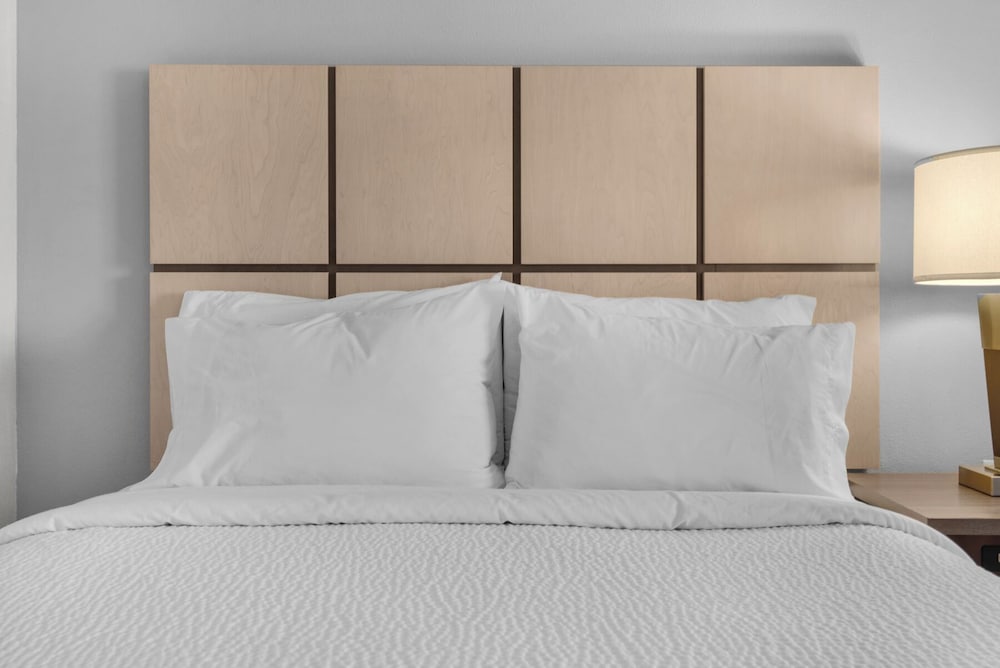 Suite, 1 Queen Bed photo 2