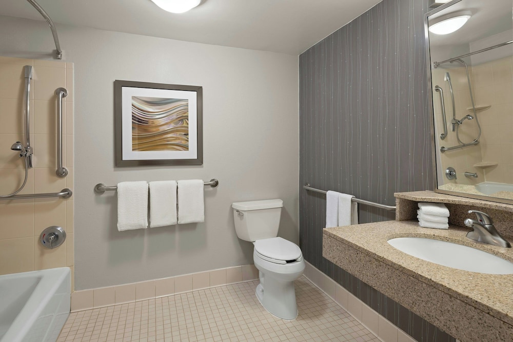 Room, 1 King Bed with Sofa bed (Mobility/Hearing Access, Roll-in Shwr) - Photo 4