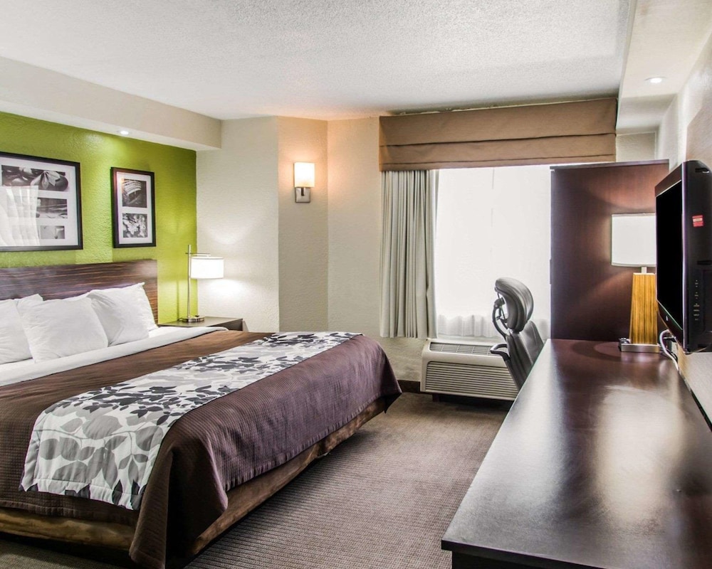 Standard Room, 1 King Bed, Non Smoking - Photo 12