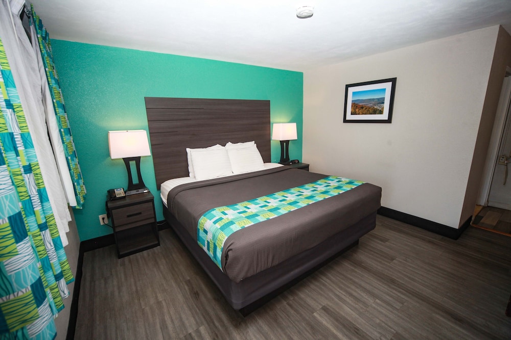 Room, 1 King Bed, Non Smoking photo 1