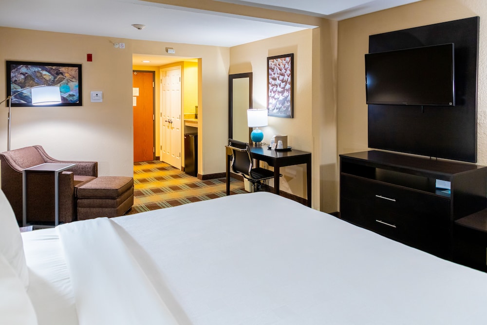 Standard Room, 1 King Bed, Accessible, Non Smoking (Walk-In Shower) - Photo 4