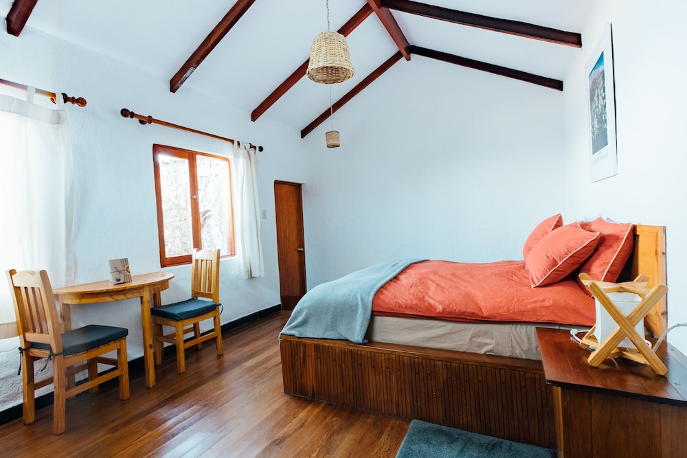 Standard Double Room, 1 King Bed photo 1