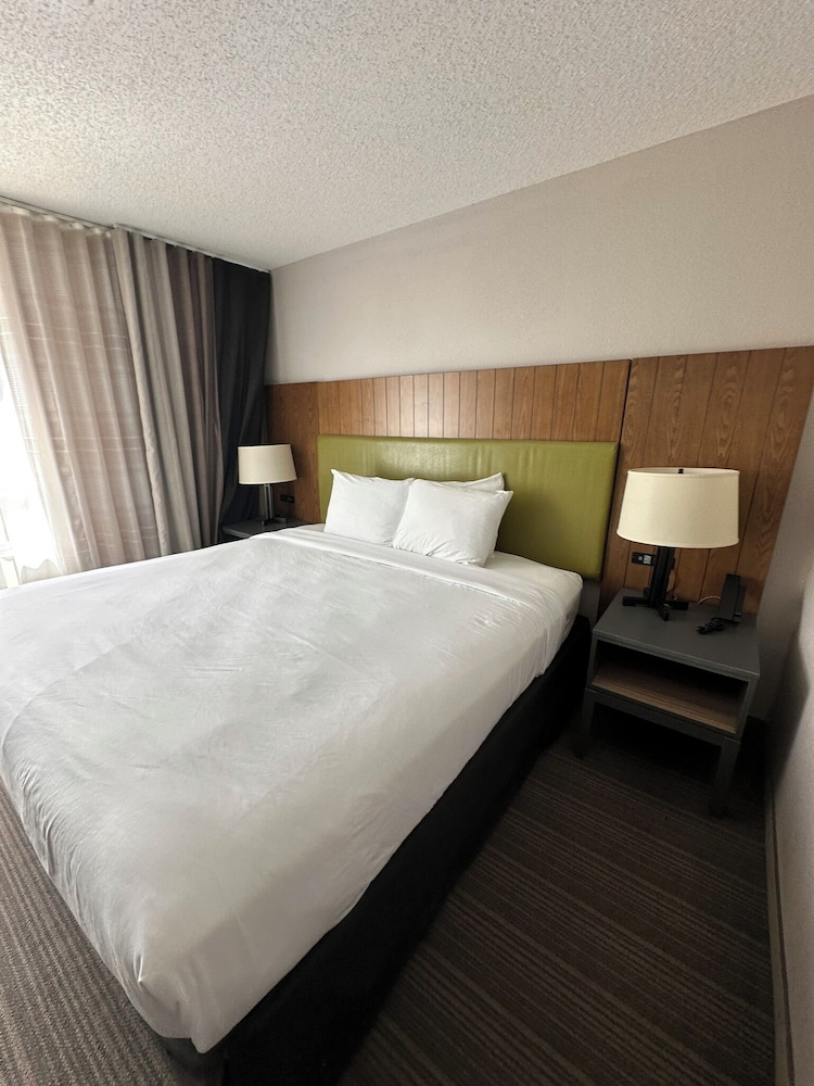 Deluxe Studio Suite, 1 King Bed, Non Smoking photo 2