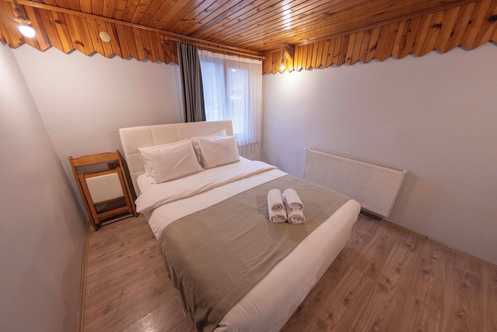 Classic Room, 1 Double Bed, Mountain View photo 3
