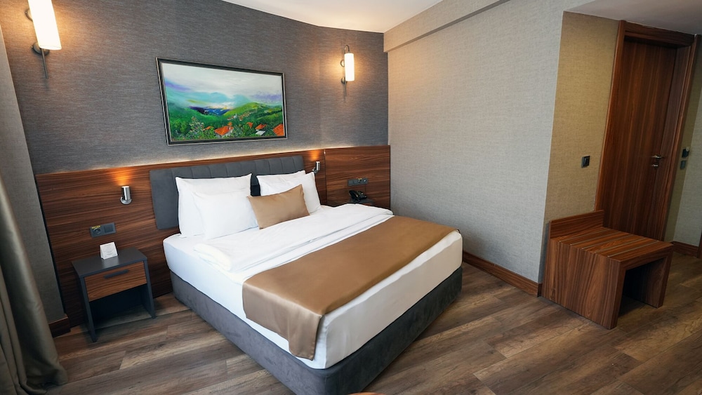 Superior Double Room, 1 Queen Bed, Accessible, Non Smoking photo 1