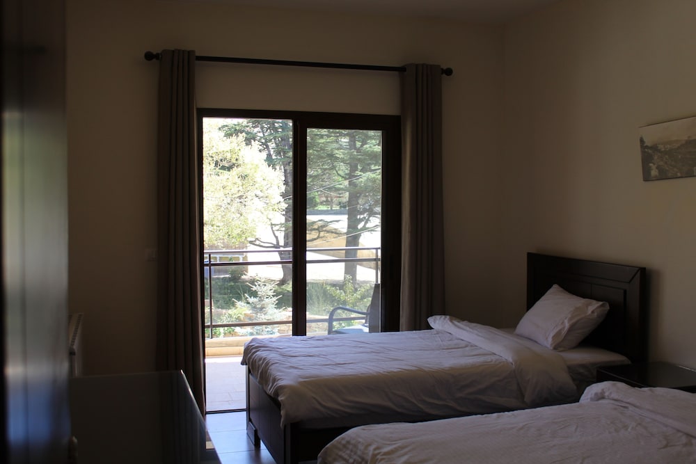 Executive Suite, 2 Bedrooms, Kitchenette, Mountain View photo 2