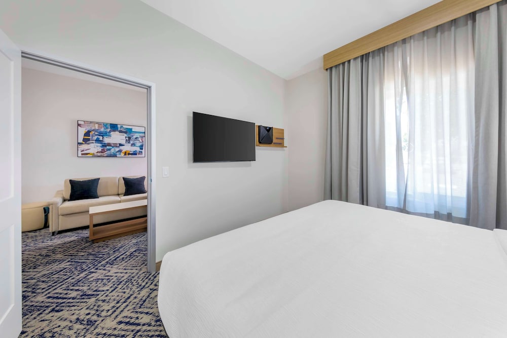 Suite, 1 King Bed, Accessible, Kitchen (with Single Sofabed, Full Kitchen) - Photo 3
