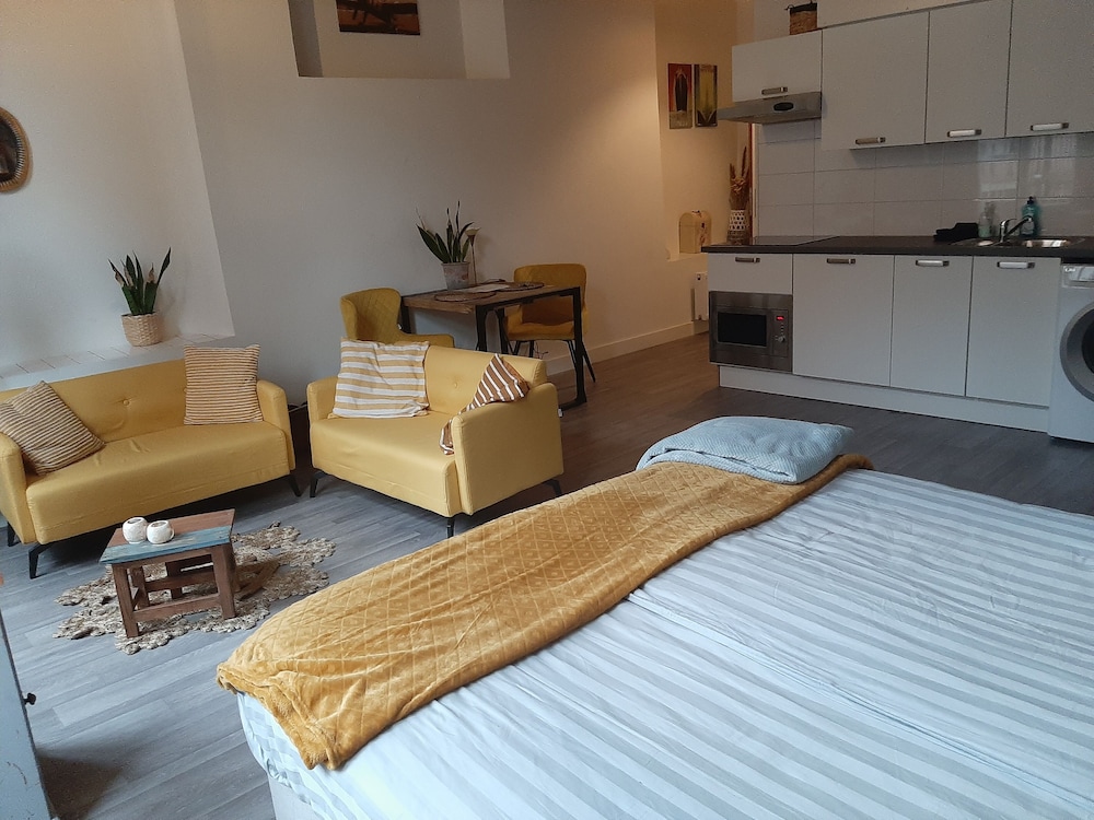 Superior Studio, 1 Queen Bed (Stadslogement B) photo 1