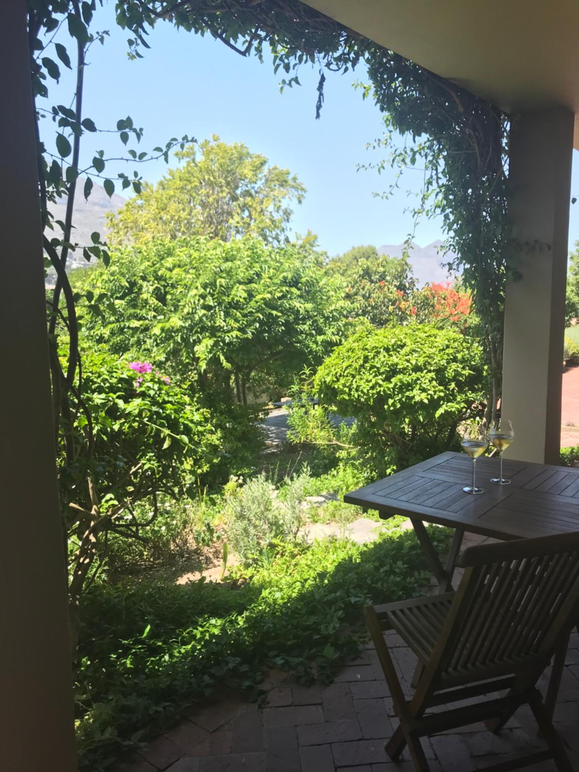Double Room with Pool View photo 2