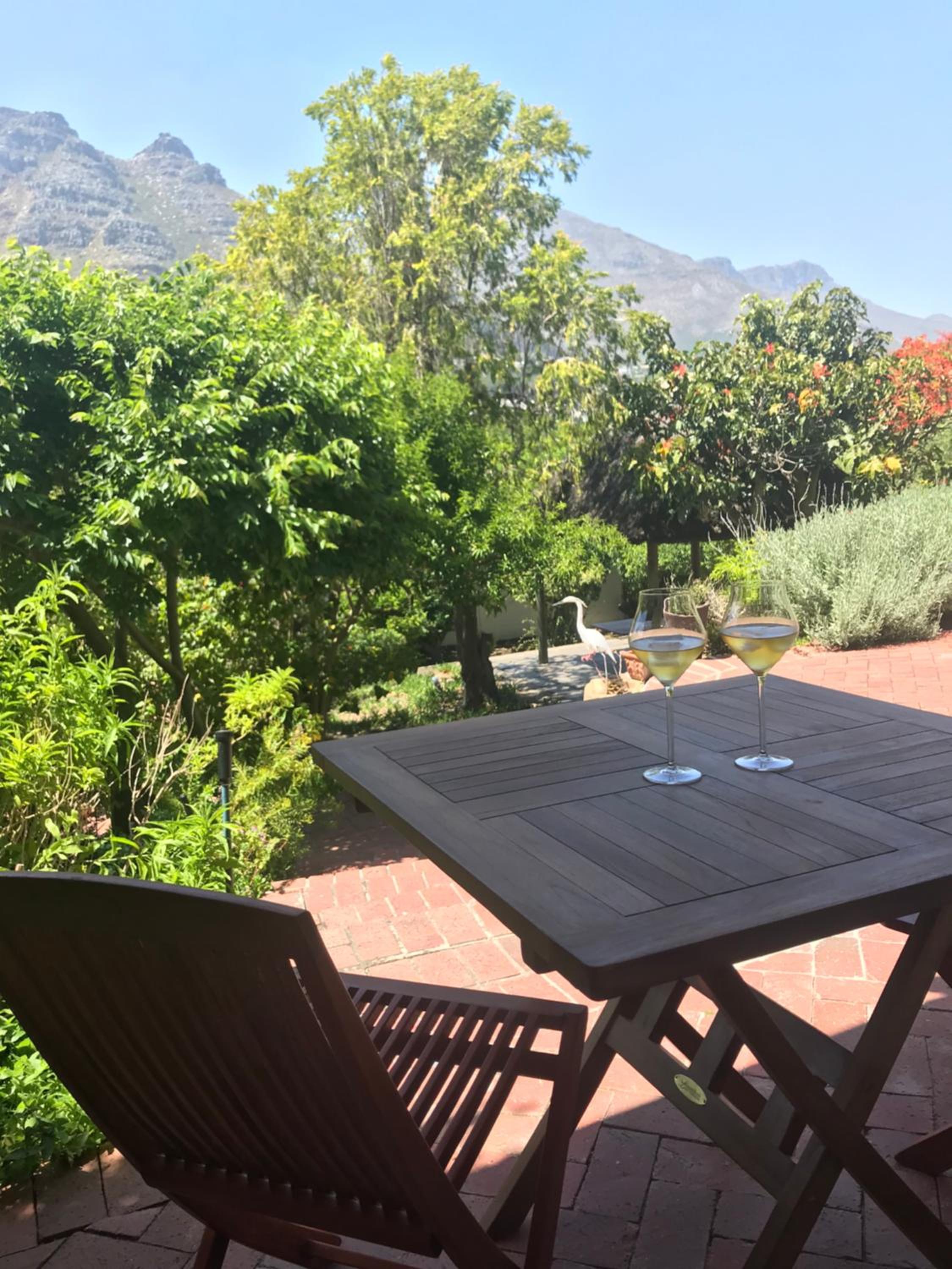 Double Room with Pool View photo 3