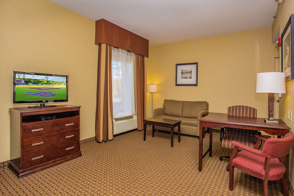 Suite, 1 King Bed, Accessible, Non Smoking - Photo 1