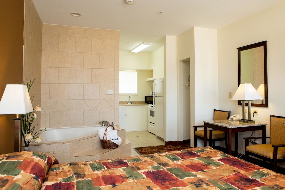 Deluxe Suite, 1 King Bed photo 1