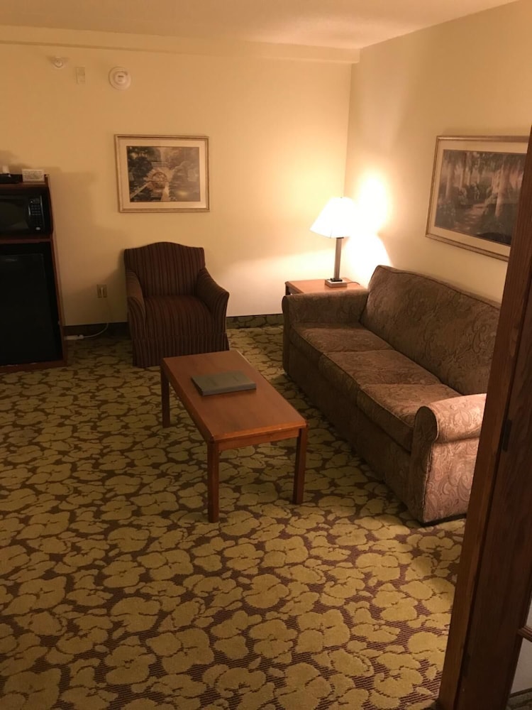 Deluxe Suite, 1 King Bed, Non Smoking (One-Bedroom) - Photo 4