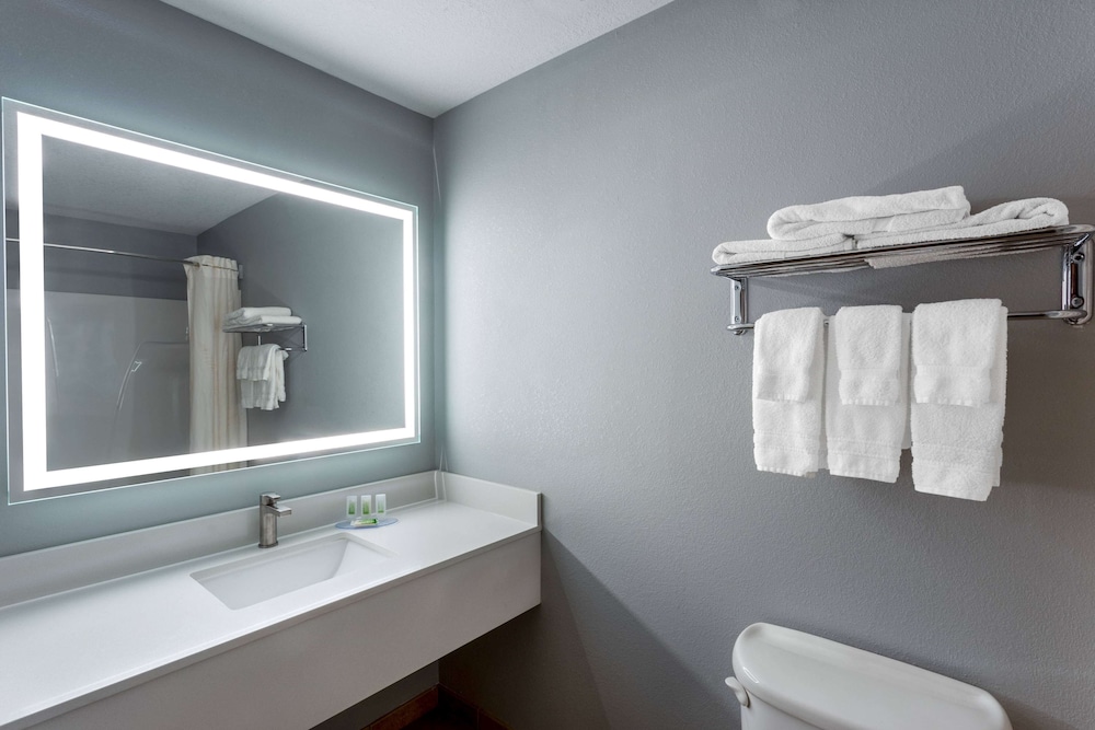 Studio Suite, 1 King Bed, Accessible, Non Smoking (Roll-In Shower) - Photo 3