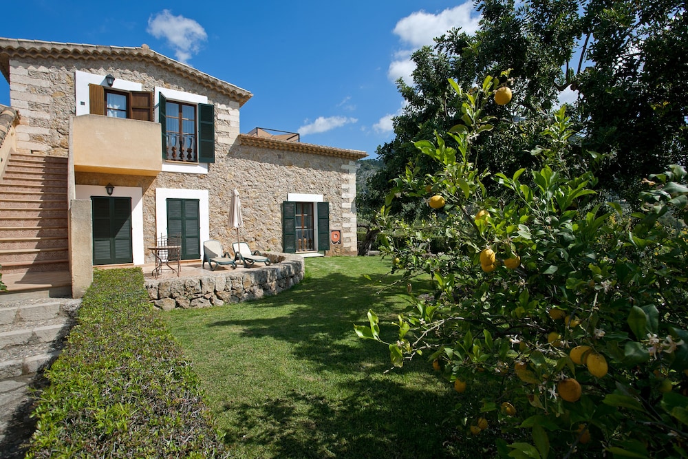 Suite Junior, Terraza
