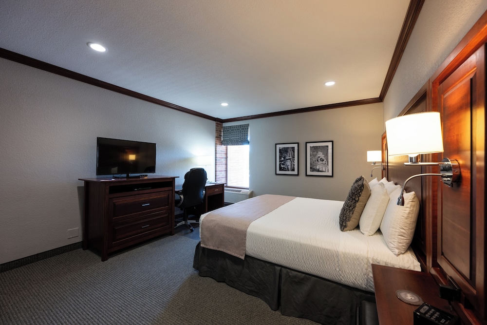 Executive Single Room, 1 King Bed photo 3