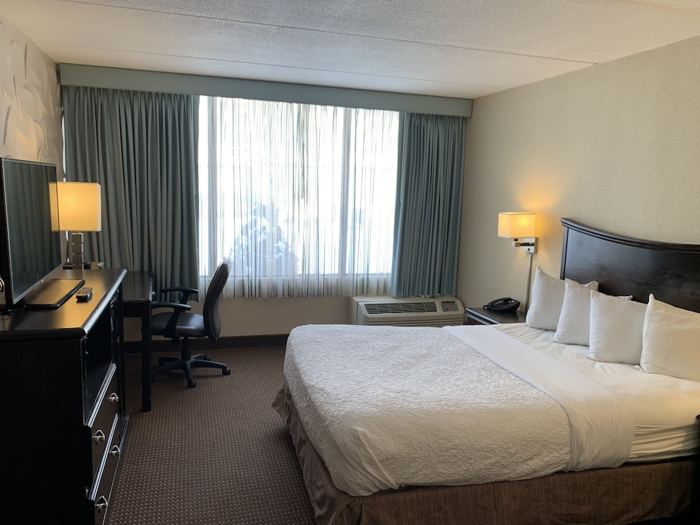 Standard Single Room - Photo 1