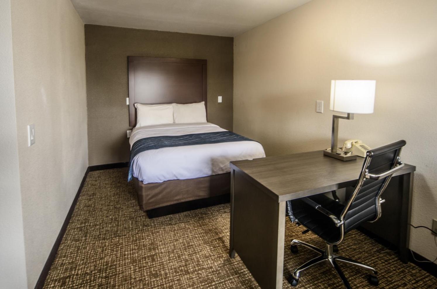King Suite photo 2