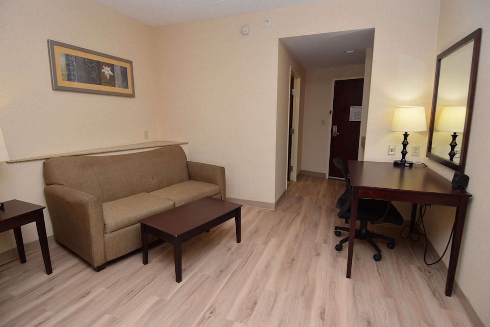 Suite - Photo 5