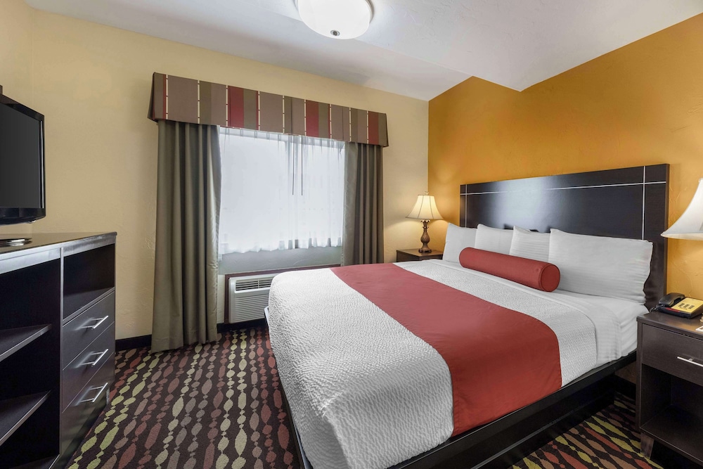 Suite, 1 King Bed, Non Smoking, Refrigerator & Microwave (with Sofabed)