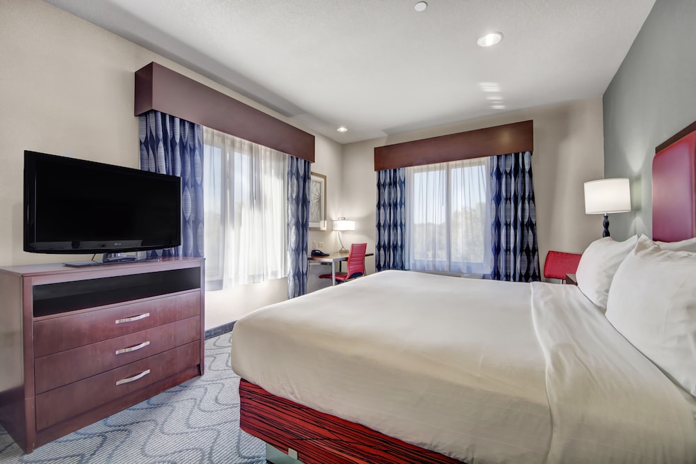 Standard Room, 1 King Bed, Accessible (Mobility, Accessible Tub) photo 1
