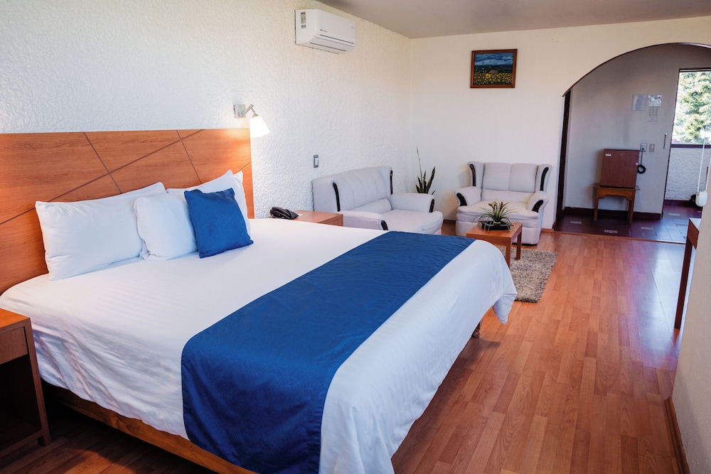 Junior Room, 1 King Bed photo 3